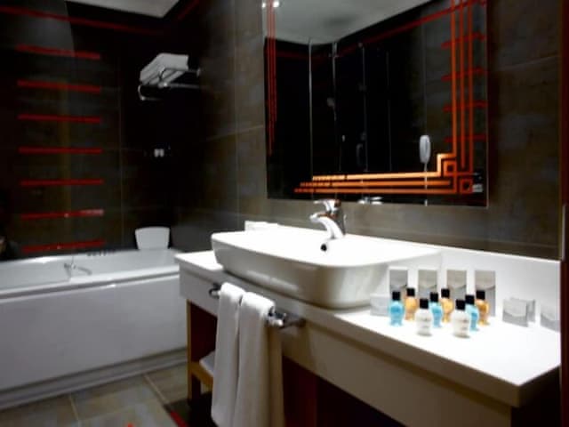 Executive Çift Kişilik veya İki Tek Kişilik Yataklı Oda