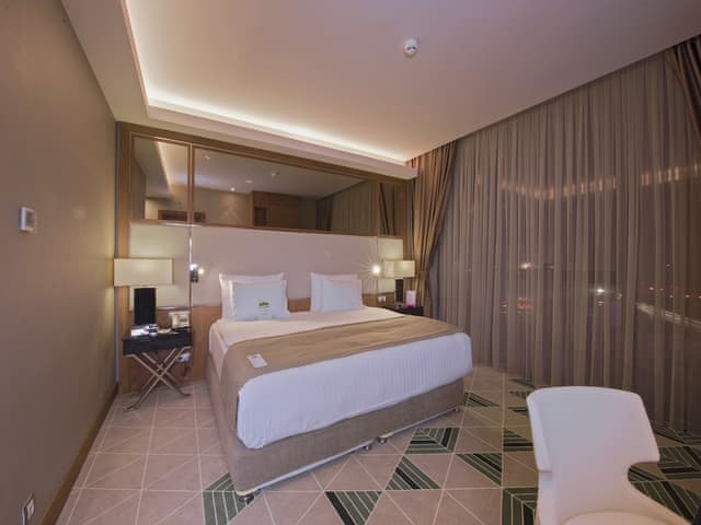 Room, 1 King Bed, Accessible, Non Smoking