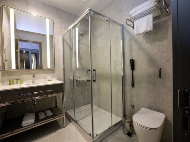 Room, 1 King Bed (Guest)