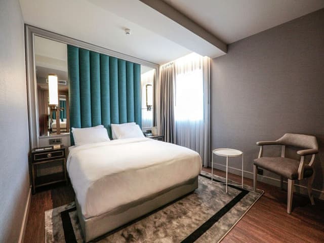 Room, 1 King Bed
