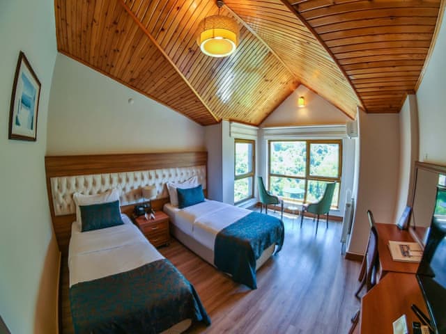 Standard Twin Room, Mountain View