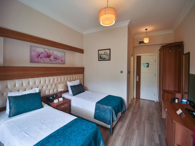 Standard Twin Room, Mountain View