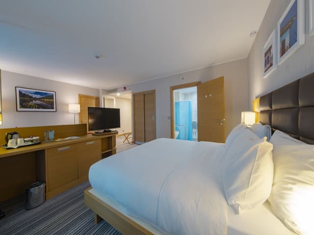 Room, 1 King Bed, Accessible