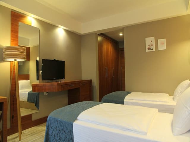 Double or Twin Room, Mountain View