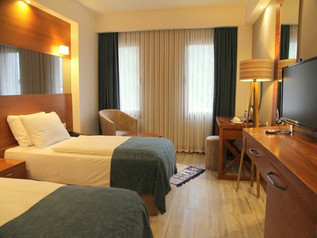 Double or Twin Room, Mountain View