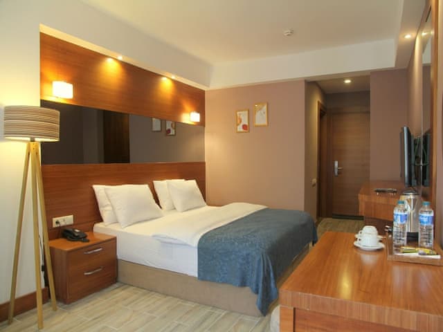 Double or Twin Room, Mountain View