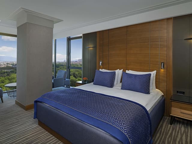 Premium Room, 1 Double Bed