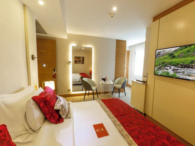 Standard Double or Twin Room, City view
