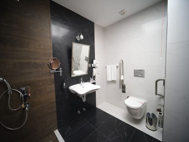 Room, Accessible (Mobility, Roll-In Shower)