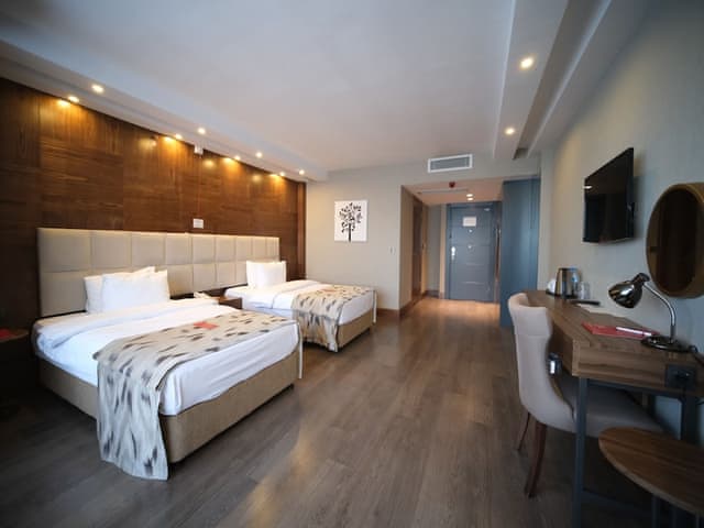 Room, Accessible (Mobility, Roll-In Shower)