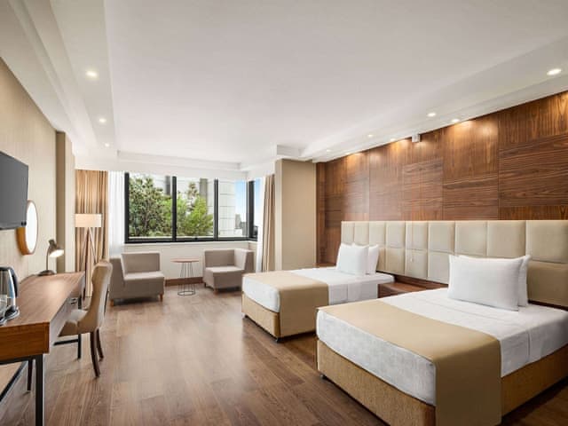 Room, Accessible (Mobility, Roll-In Shower)