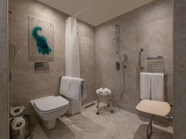Room, 1 Queen Bed, Accessible