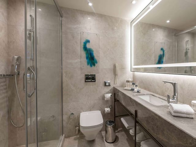 Deluxe Twin Room, Balcony