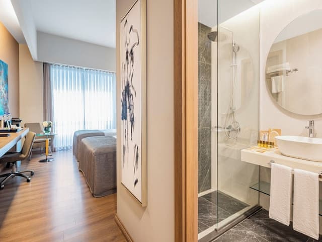 Deluxe Şehir Manzaralı Balkonlu Oda