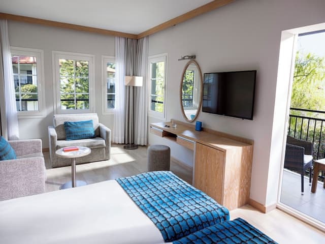 Superior Room (in Main Building)