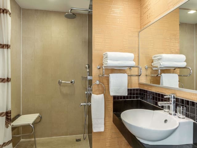 Room, 1 Double Bed, Accessible