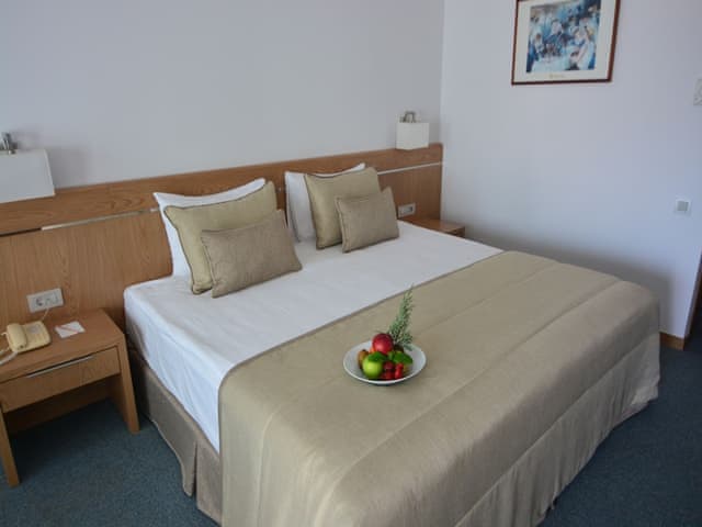 Economy Double or Twin Room