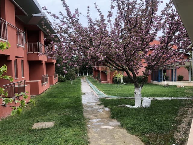 Standart Üç Kişilik Oda