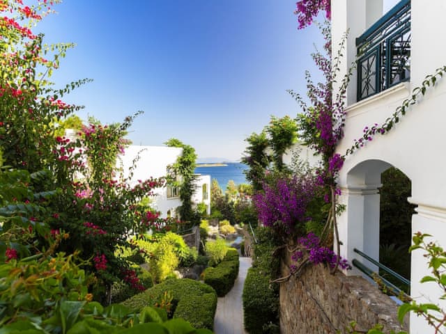 Relax Room, Sea View