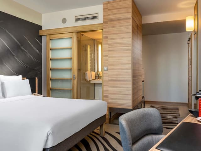 Executive Room, 1 Queen Bed with Sofa bed