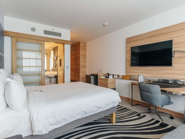 Superior Room, 1 Queen Bed with Sofa bed