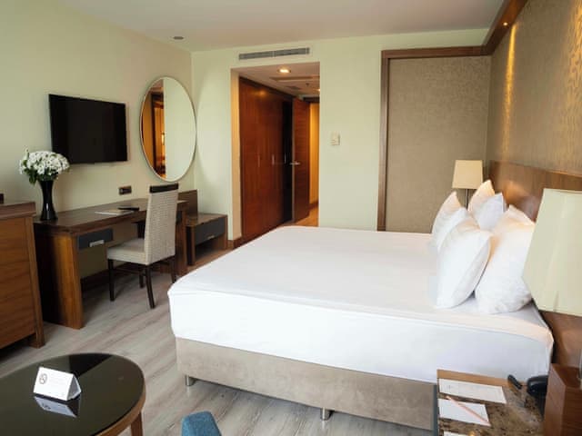 Family Room, 1 King Bed