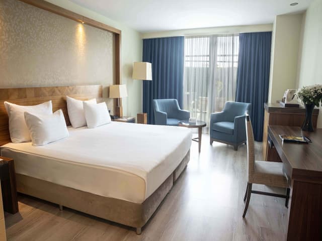 Family Room, 1 King Bed