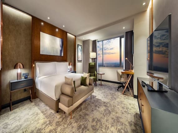 Room, 1 King Bed