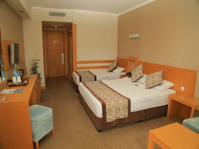 Standard Land View Room