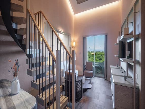 Premier Roof Top Suite