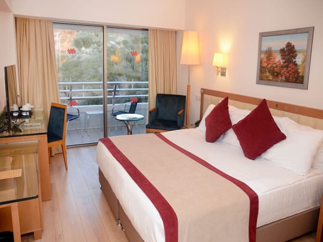 Standard Double or Twin Room, Mountain View