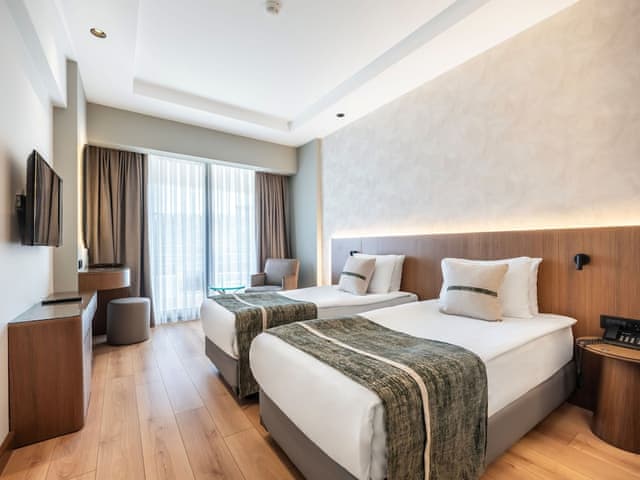 Standard Double or Twin Room, Mountain View