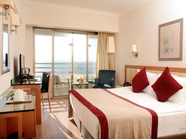 Standard Double or Twin Room, Mountain View