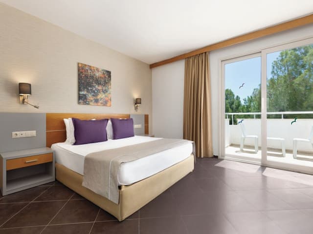 Club Room, 1 Double Bed, Garden View