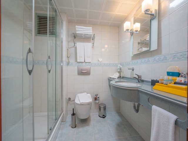 Large Triple Room