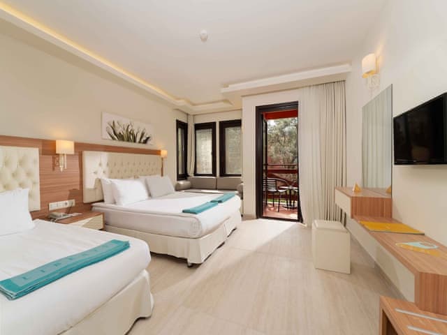 Large Triple Room