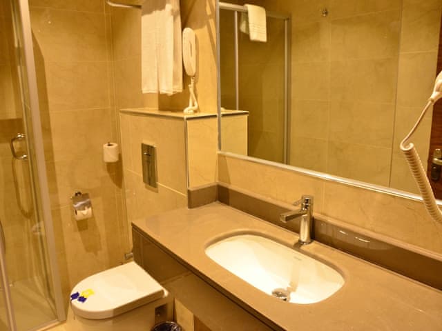 Standard Single Room, Smoking