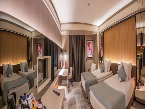 Standard Twin Room, Multiple Beds