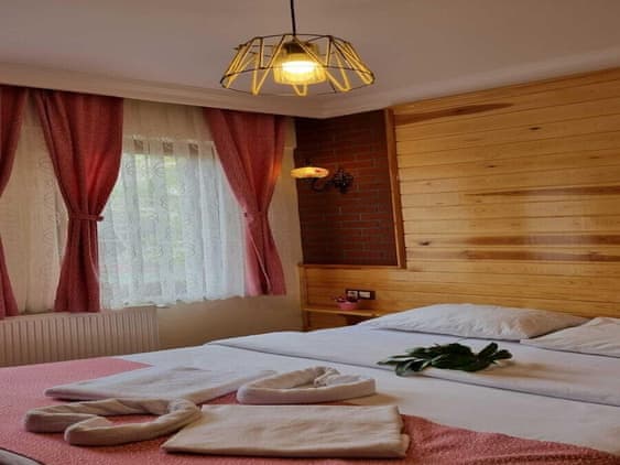 Chambre Double Standard
