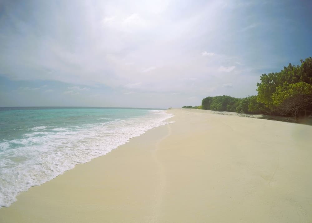 Annama Lodge And Dive