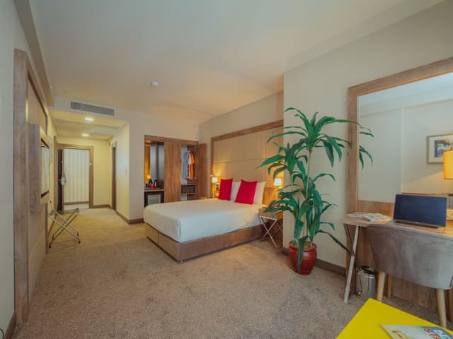 Superior Room, 1 Double Bed