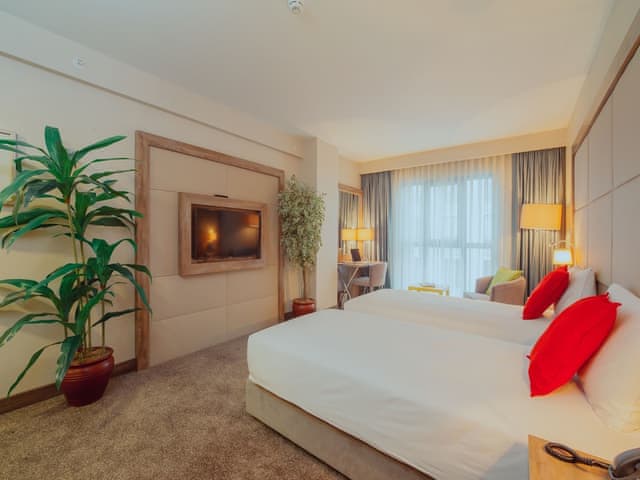 Superior Room, 1 Double Bed