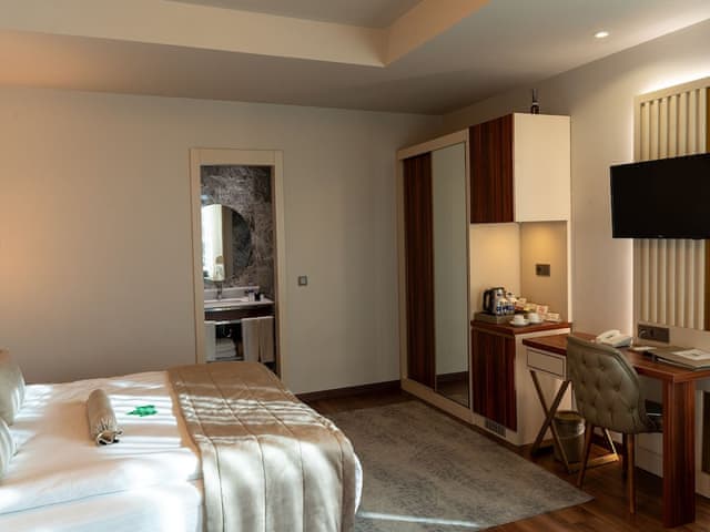 Junior Suite Room