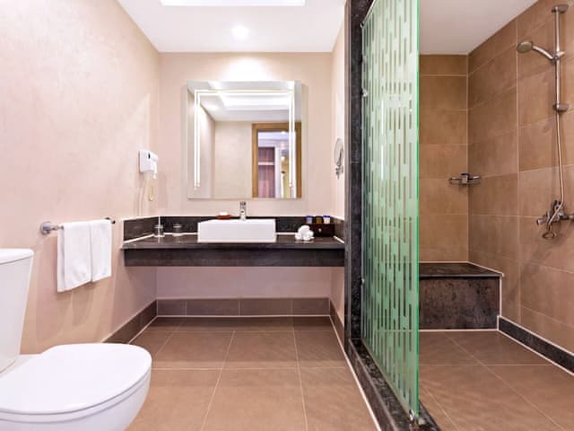 Deluxe Çift Kişilik veya İki Tek Kişilik Yataklı Oda