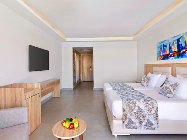 Deluxe Çift Kişilik veya İki Tek Kişilik Yataklı Oda