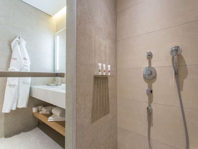 Swiss, Classic Room, 1 King Bed