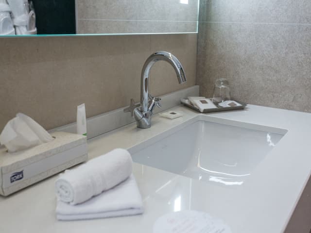 Swiss, Premier Room, 1 King Bed