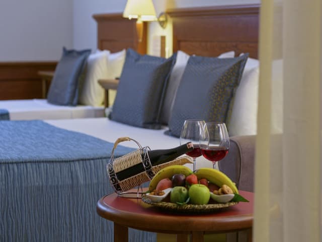 Double or Twin Room, City View