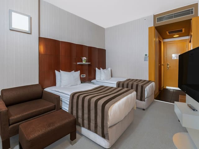 Deluxe Çift Kişilik veya İki Tek Kişilik Yataklı Oda