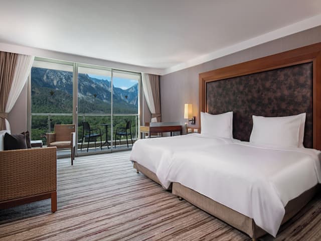 Standard Room, 1 King Bed, Mountain View